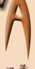 sculptura in lemn, mobilier sculptat, restaurare mobilier